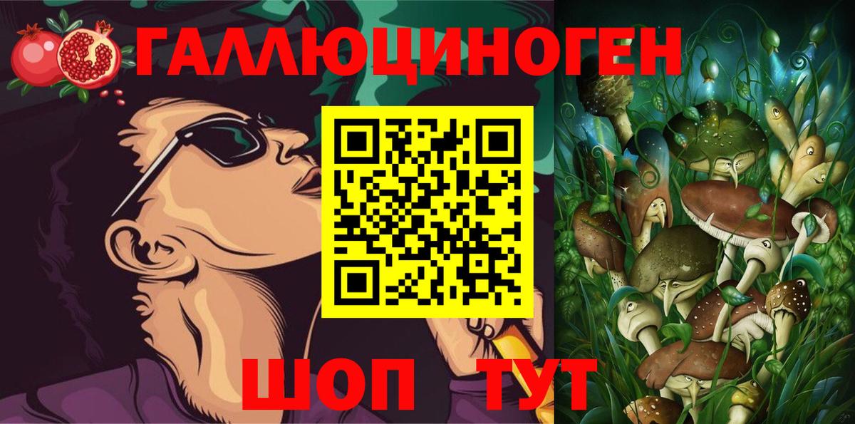 Галлюциногенные грибы GOLDEN TEACHER Владивосток